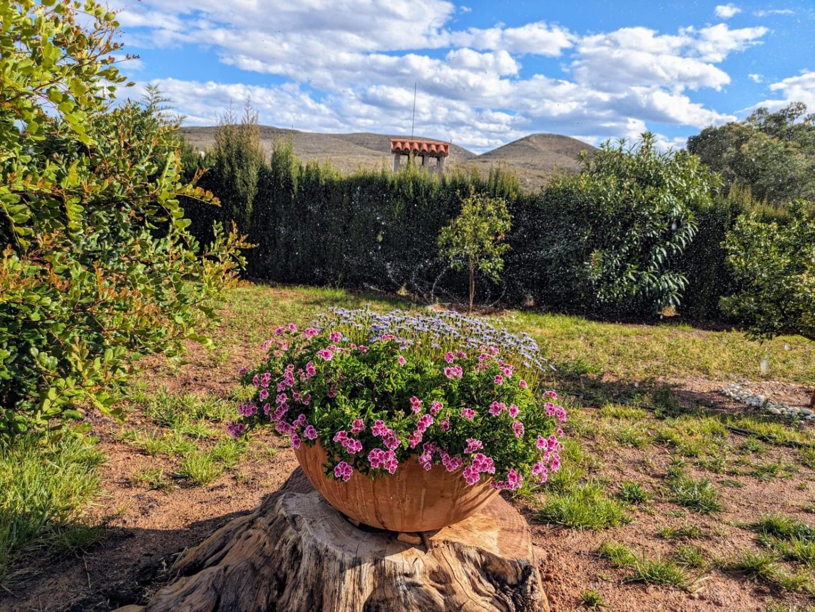 Buen Estar, Piscina, Barbacoa, Jacuzzi En Valencia Villa Turis Bagian luar foto